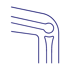 Bone Joint 1 Illustration from UX Line Set