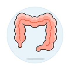 Intestine Illustration from UX Colors Set