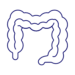 Intestine Illustration from UX Line Set