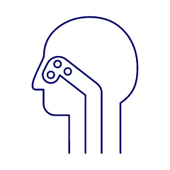 Sinuses 1 Illustration from UX Line Set