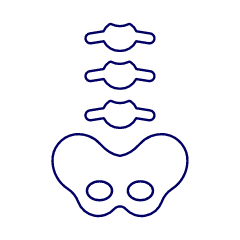 Spine Illustration from UX Line Set