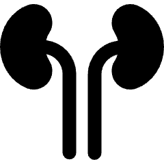 Kidney 1 Icon from Ultimate Bold Set
