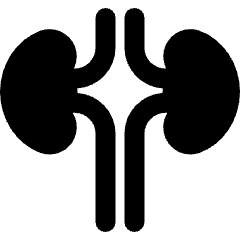 Kidney 2 Icon from Ultimate Bold Set