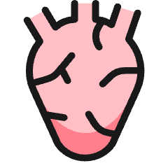 Medical Specialty Heart Icon from Ultimate Colors Set