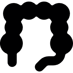 Medical Specialty Intestine Icon from Ultimate Bold Set