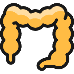 Medical Specialty Intestine Icon from Ultimate Colors Set