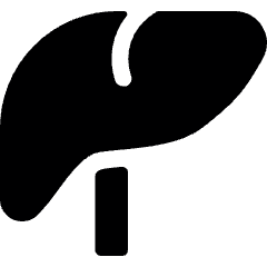 Medical Specialty Liver Icon from Ultimate Bold Set