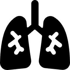 Medical Specialty Lungs Icon from Ultimate Bold Set