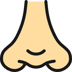 Medical Specialty Nose Icon from Ultimate Colors Set