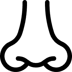 Medical Specialty Nose Icon from Ultimate Regular Set