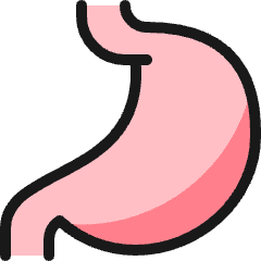 Medical Specialty Stomach Icon from Ultimate Colors Set