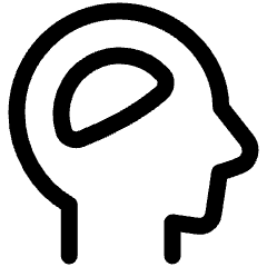 Brain Cognitive Icon from Plump Line Set