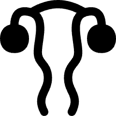 Gynecology Vagina Uterus Icon from Flex Remix Set