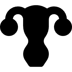 Gynecology Vagina Uterus Icon from Core Solid Set