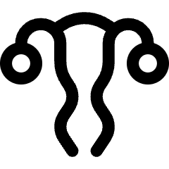 Gynecology Vagina Uterus Icon from Core Line Set