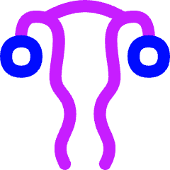 Gynecology Vagina Uterus Icon from Flex Neon Set