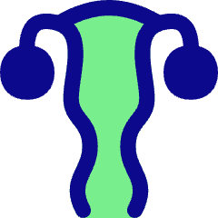 Gynecology Vagina Uterus Icon from Flex Pop Set