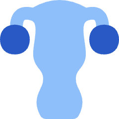 Gynecology Vagina Uterus Icon from Flex Flat Set