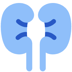 Kidney Nephrology Icon from Plump Flat Set