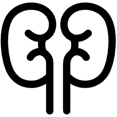 Kidney Nephrology Icon from Plump Line Set