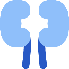 Kidney Nephrology Icon from Flex Flat Set