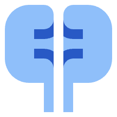 Kidney Nephrology Icon from Sharp Flat Set