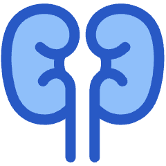 Kidney Nephrology Icon from Plump Duo Set