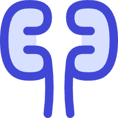 Kidney Nephrology Icon from Flex Duo Set