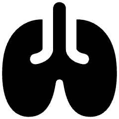 Lungs Icon from Flex Solid Set