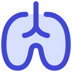 Lungs Icon from Flex Duo Set