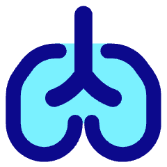 Lungs Icon from Core Pop Set