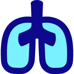 Lungs Icon from Plump Pop Set
