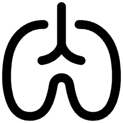 Lungs Icon from Flex Line Set