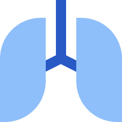 Lungs Icon from Sharp Flat Set