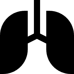 Lungs Icon from Sharp Solid Set