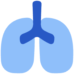 Lungs Icon from Plump Flat Set