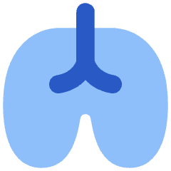 Lungs Icon from Flex Flat Set