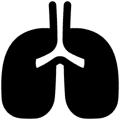 Lungs Icon from Plump Solid Set