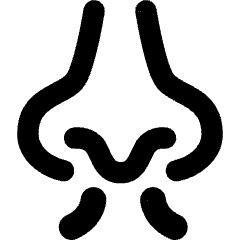 Nose Smell Icon from Core Remix Set