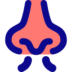 Nose Smell Icon from Core Pop Set