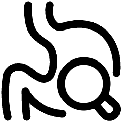 Oncology Stomach Cancer Icon from Plump Line Set