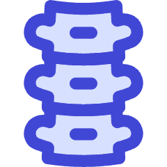 Orthopedics Spine Backbone Icon from Flex Duo Set