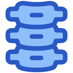 Orthopedics Spine Backbone Icon from Plump Duo Set