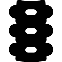 Orthopedics Spine Backbone Icon from Flex Solid Set