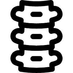 Orthopedics Spine Backbone Icon from Flex Line Set