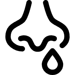 Runny Nose Icon from Core Line Set