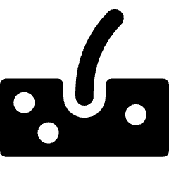 Skin Icon from Core Solid Set