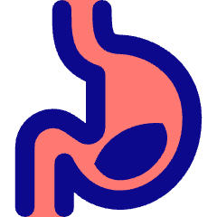 Stomach Icon from Core Pop Set