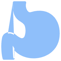 Stomach Icon from Plump Flat Set