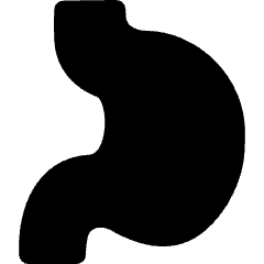 Stomach Icon from Flex Solid Set